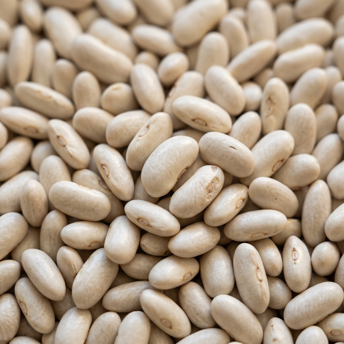 White Kidney Bean Extract